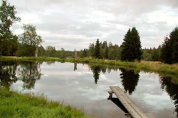 Wanderungen im Nationalpark Sumava